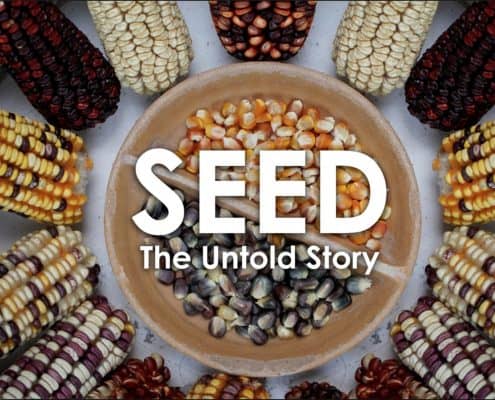 Seed the Untold Story