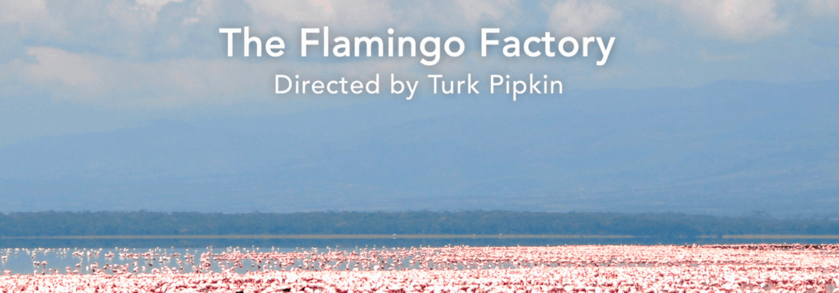 Flamingo Factory