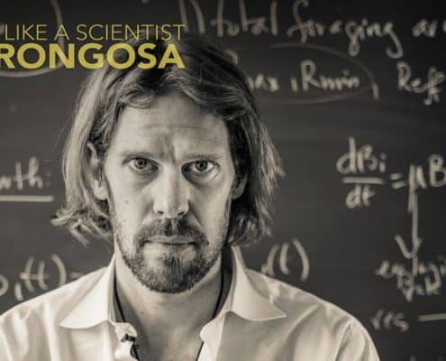 Gorongosa Poster