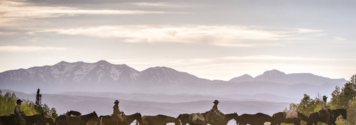 Unbranded: A Wild Mustang Expedition
