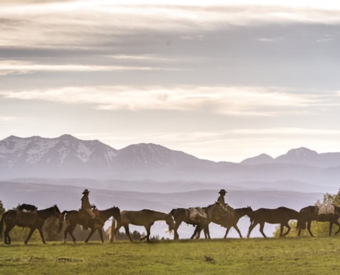Unbranded: A Wild Mustang Expedition