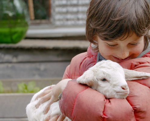 child holding goat