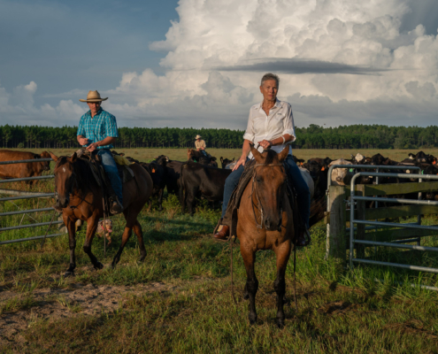 men on a cattle ranch