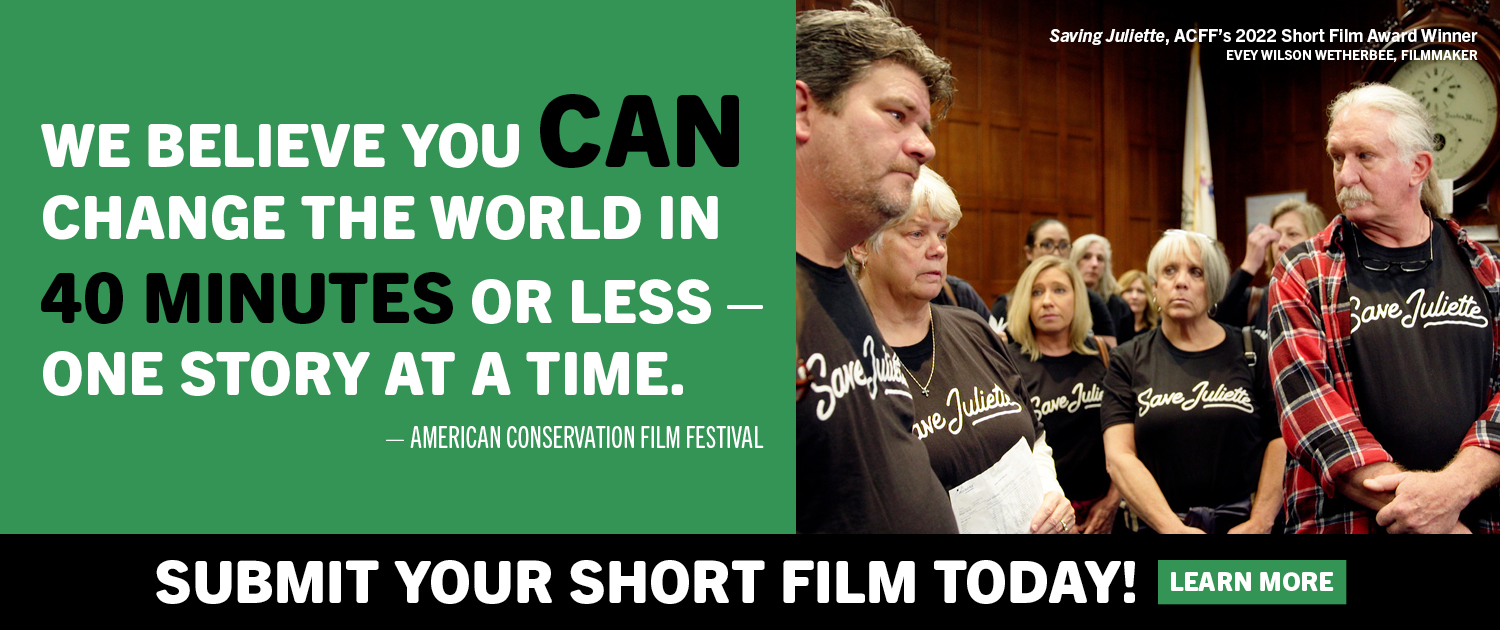 Submit your short film today