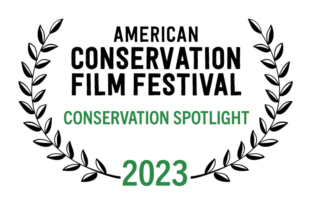 Conservation Spotlight Laurel