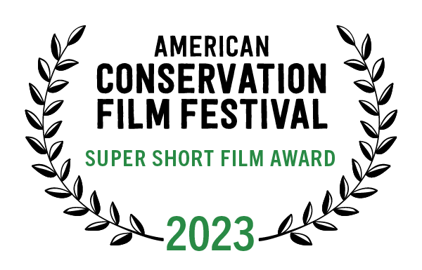 ACFF 2023 Super Short Award