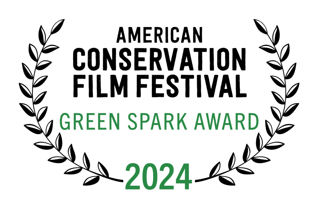 ACFF Green Spark Award - 2024