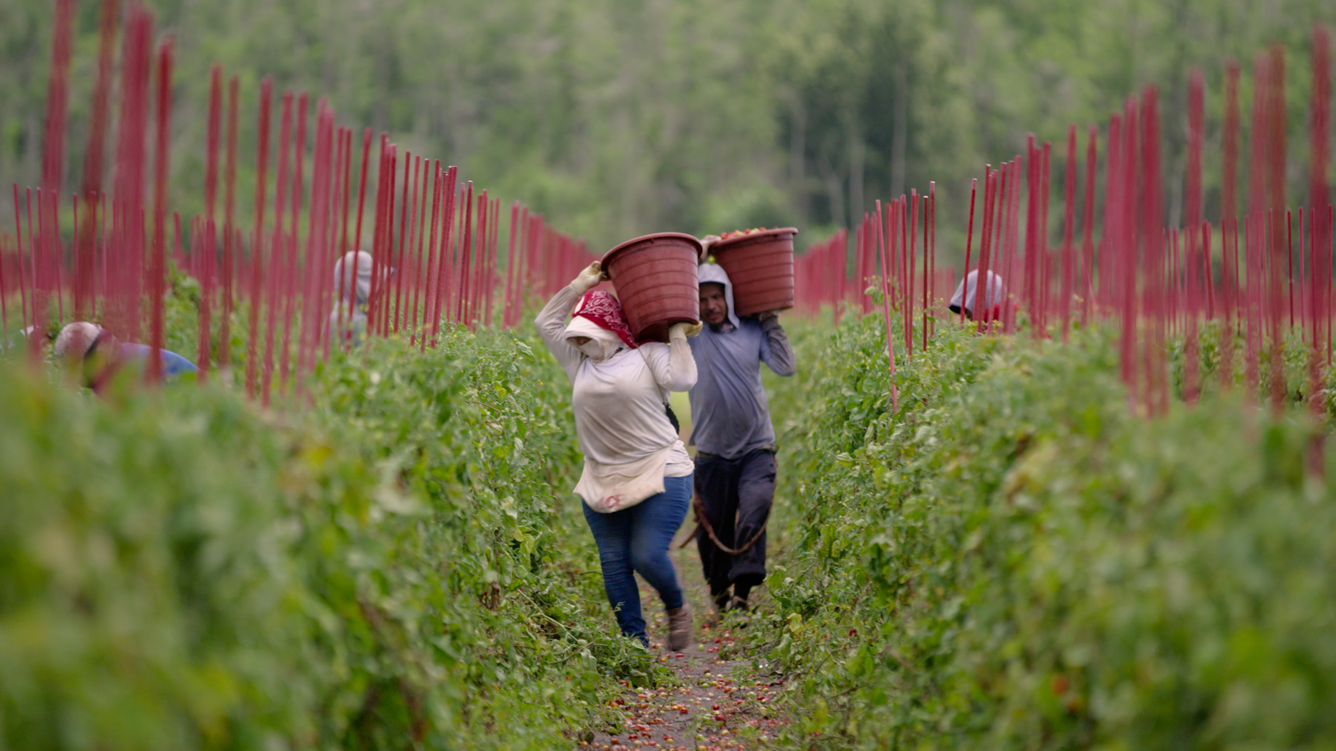 food-inc-2-american-conservation-film-festival-acff