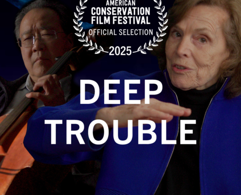 Deep Trouble