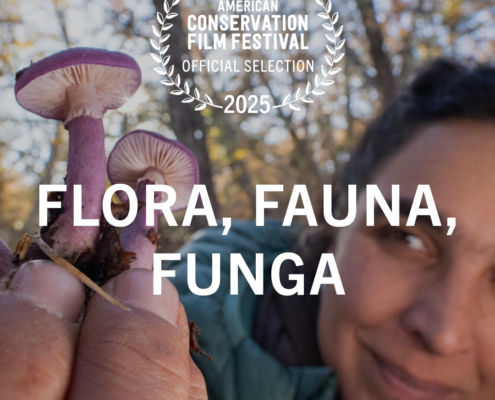 Flora, Fauna, Funga