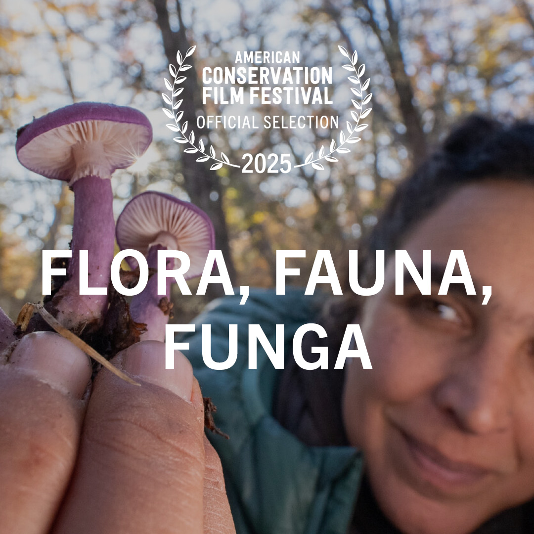 Flora, Fauna, Funga