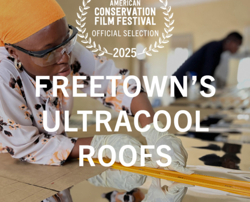 Freetown's Ultracool Roofs