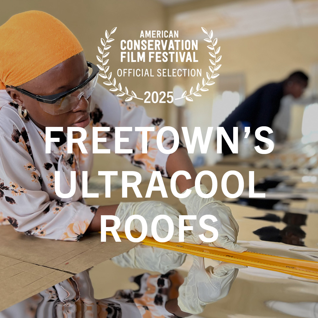 Freetown's Ultracool Roofs