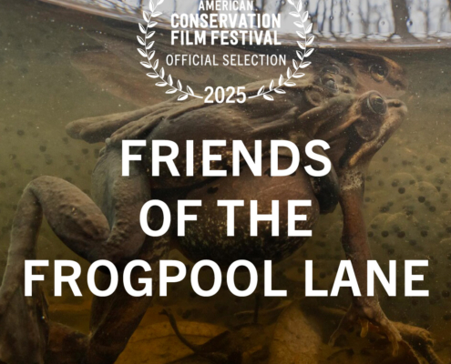 Friends of the Frogpool Lane