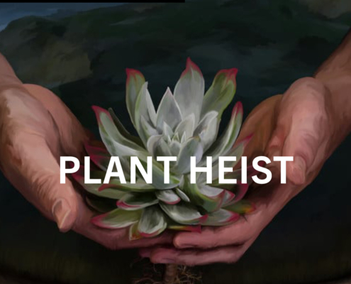 Plant Heist