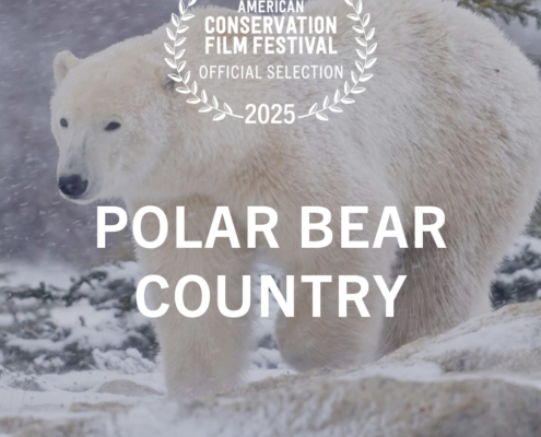 Polar Bear Country