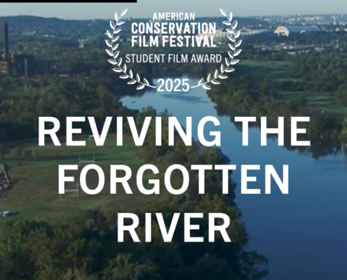 Reviving the Forgotten River