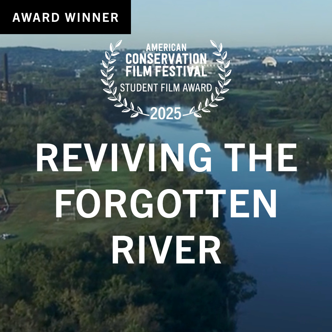 Reviving the Forgotten River