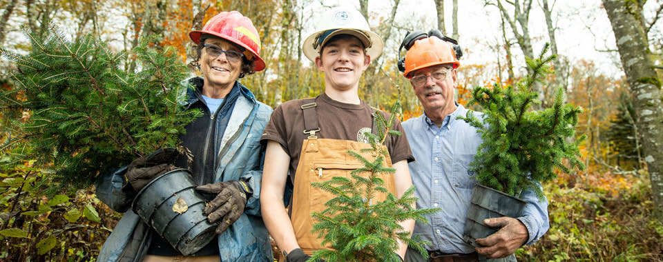 Saving the Southern Appalachian Red Spruce_960x380_17