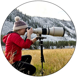 The Snowy Owls of Logan Airport_Filmmaker_Anna Miller