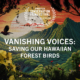 Vanishing Voices- Saving Our Hawaiian Forest Birds