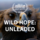 Wild Hope - Unleaded