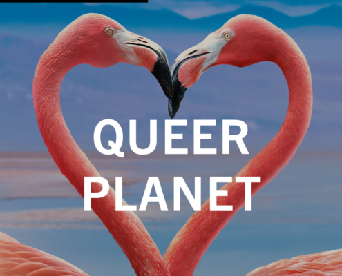 Queer Planet