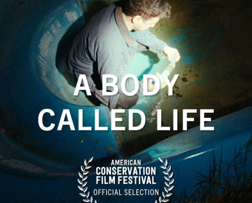 A Body Called Life