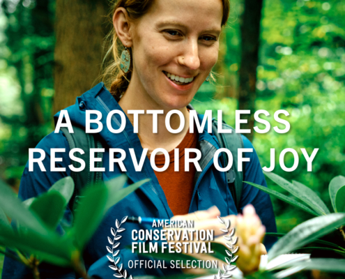 A Bottomless Reservoir of Joy