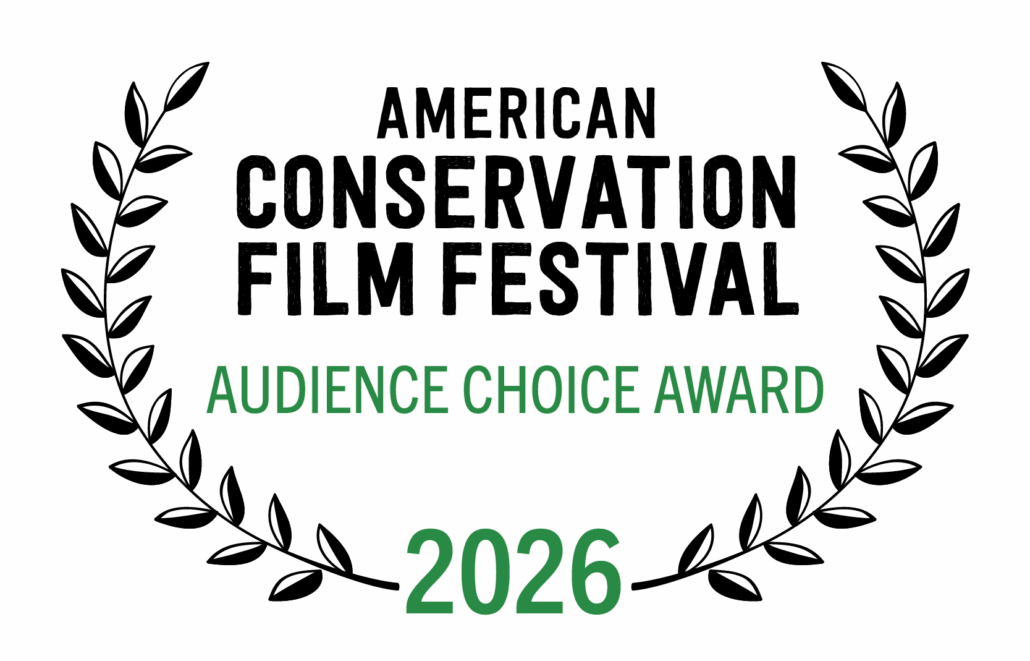 2026 ACFF Audience Choice Award 2026 ACFF Audience Choice Award