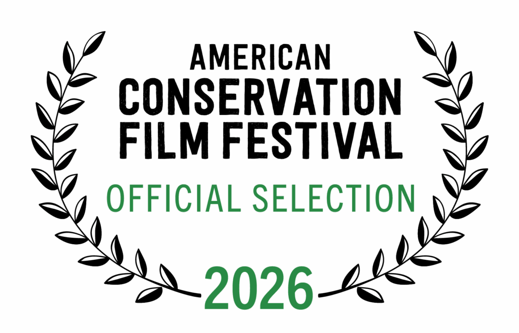 ACFF 2026 Official Selection