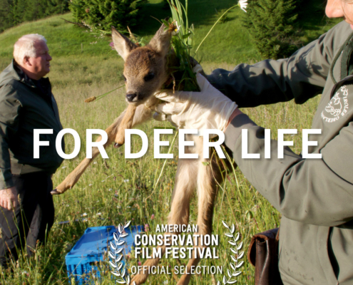 For Deer Life