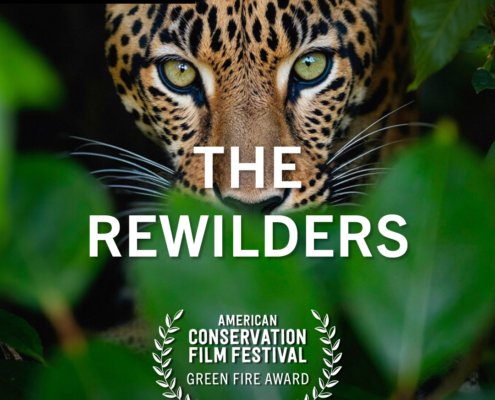 The Rewilders