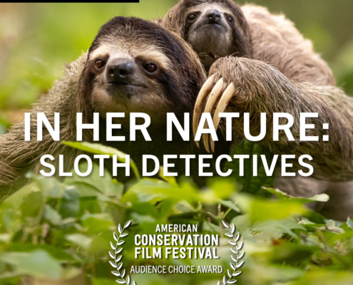 SlothDetectives_AudienceChoice